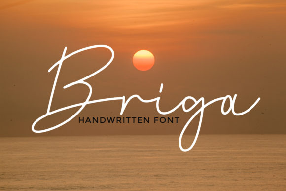 Briga: A Real-World Review for Designers