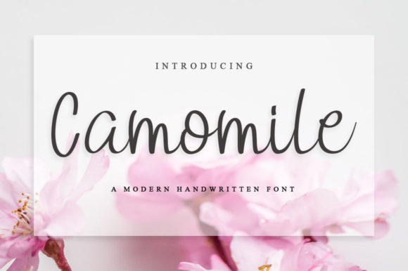 Camomile: A Timeless Handwritten Font for Editorial Design