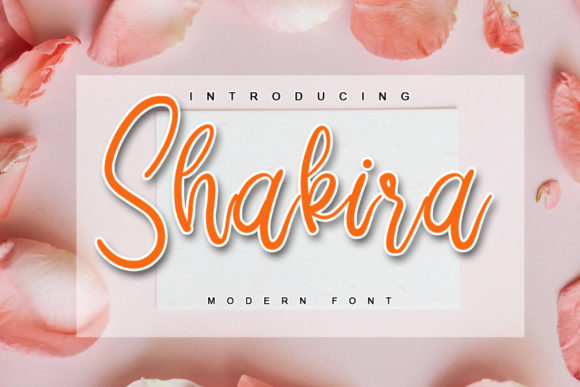 Shakira: A Designer's Review of This Bold Script Amp