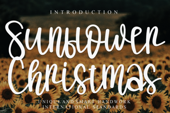 Sunflower Christmas: A Chic Handwritten Font for Branding