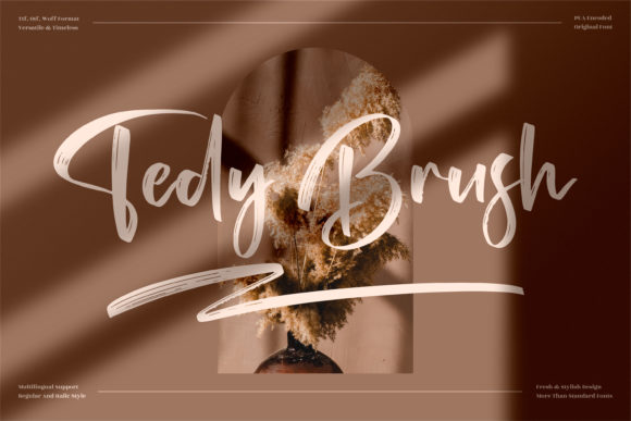 Tedy Brush: A Premium Script Font for Campaigns