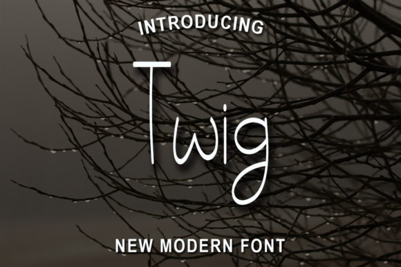 Twig: A Handwritten Font for Editorial Warmth