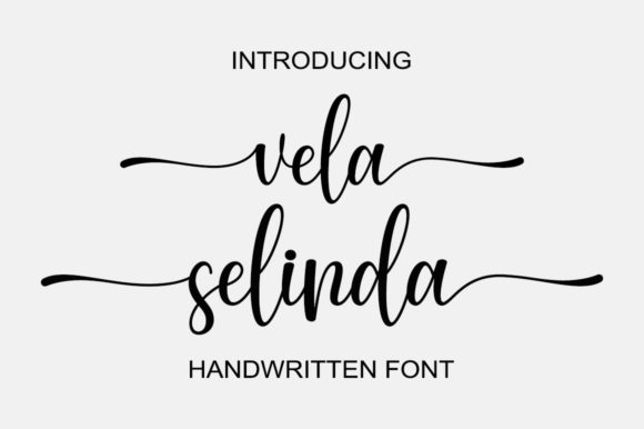 Vela Selinda: A Premium Script Font for Your Brand